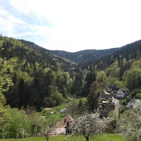 Studio A Murbach Au Calme Esterno foto