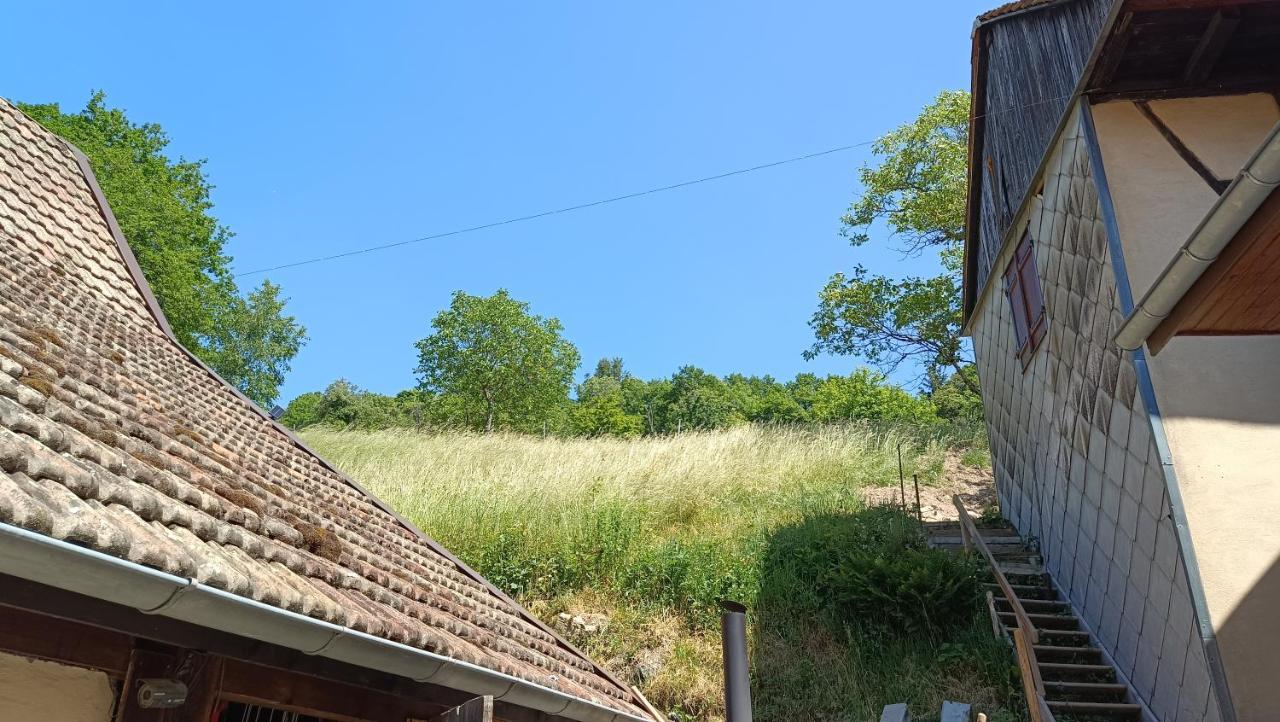 Studio A Murbach Au Calme Esterno foto
