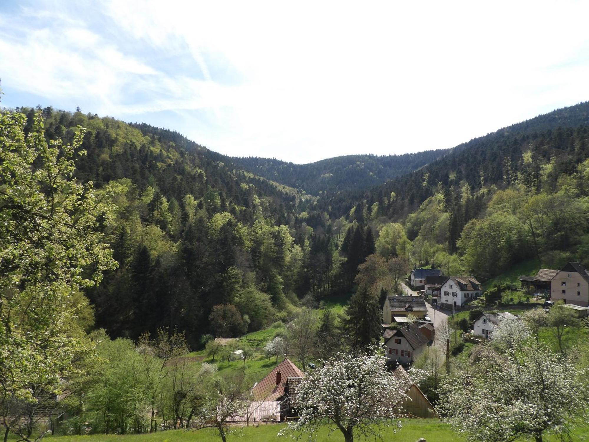 Studio A Murbach Au Calme Esterno foto