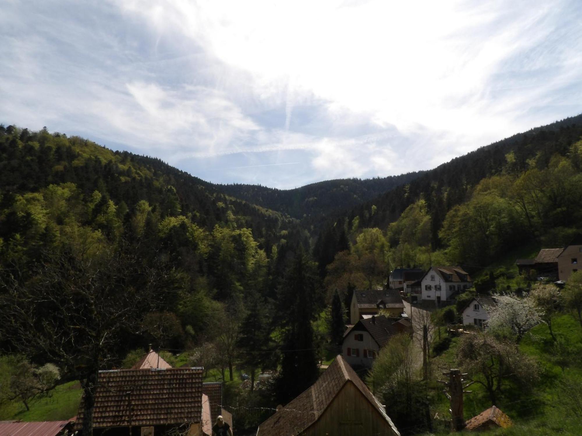 Studio A Murbach Au Calme Esterno foto